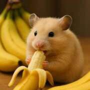 ヒメ日記 2025/08/09 08:03 投稿 体験なな ミセスコレクション