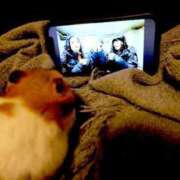 ヒメ日記 2025/08/10 01:53 投稿 体験なな ミセスコレクション