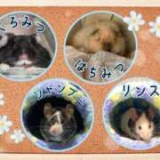 ヒメ日記 2025/08/10 18:03 投稿 体験なな ミセスコレクション