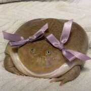 ヒメ日記 2025/08/12 08:13 投稿 体験なな ミセスコレクション