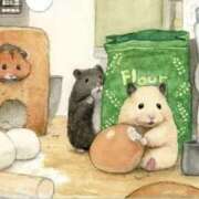 ヒメ日記 2025/08/12 12:04 投稿 体験なな ミセスコレクション