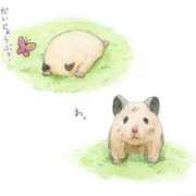 ヒメ日記 2025/08/13 00:13 投稿 体験なな ミセスコレクション