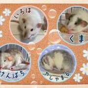 ヒメ日記 2025/08/13 08:13 投稿 体験なな ミセスコレクション