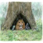 ヒメ日記 2025/08/13 12:06 投稿 体験なな ミセスコレクション