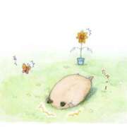 ヒメ日記 2025/08/14 01:13 投稿 体験なな ミセスコレクション