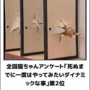 ヒメ日記 2025/08/14 08:13 投稿 体験なな ミセスコレクション