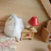 ヒメ日記 2025/08/15 08:13 投稿 体験なな ミセスコレクション