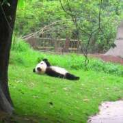 ヒメ日記 2025/08/15 12:05 投稿 体験なな ミセスコレクション