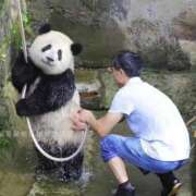 ヒメ日記 2025/08/16 12:05 投稿 体験なな ミセスコレクション