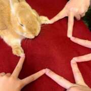 ヒメ日記 2025/08/16 18:13 投稿 体験なな ミセスコレクション