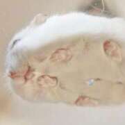 ヒメ日記 2025/08/17 08:19 投稿 体験なな ミセスコレクション