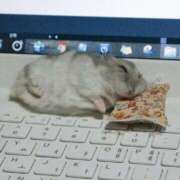 ヒメ日記 2025/08/18 08:03 投稿 体験なな ミセスコレクション