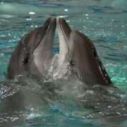 ヒメ日記 2025/08/19 08:03 投稿 体験なな ミセスコレクション