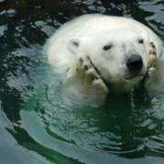 ヒメ日記 2025/08/19 12:05 投稿 体験なな ミセスコレクション