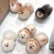 ヒメ日記 2025/08/20 00:03 投稿 体験なな ミセスコレクション