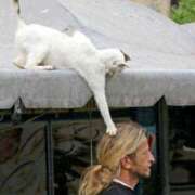 ヒメ日記 2025/08/20 00:13 投稿 体験なな ミセスコレクション