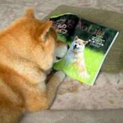 ヒメ日記 2025/08/20 02:13 投稿 体験なな ミセスコレクション