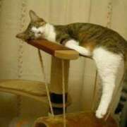 ヒメ日記 2025/08/20 02:23 投稿 体験なな ミセスコレクション