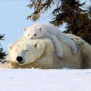 ヒメ日記 2025/08/20 12:03 投稿 体験なな ミセスコレクション