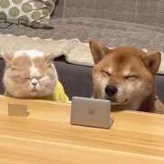 ヒメ日記 2025/08/21 00:53 投稿 体験なな ミセスコレクション