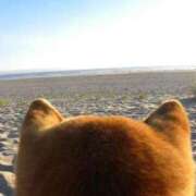 ヒメ日記 2025/08/21 08:03 投稿 体験なな ミセスコレクション