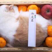 ヒメ日記 2025/08/23 01:33 投稿 体験なな ミセスコレクション