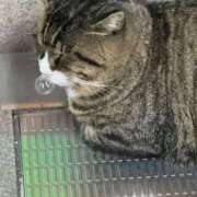 ヒメ日記 2025/08/23 01:42 投稿 体験なな ミセスコレクション