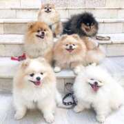 ヒメ日記 2025/08/23 08:03 投稿 体験なな ミセスコレクション