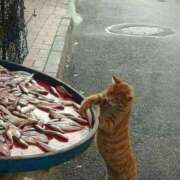 ヒメ日記 2025/08/23 12:04 投稿 体験なな ミセスコレクション