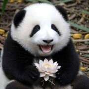 ヒメ日記 2025/08/23 22:13 投稿 体験なな ミセスコレクション