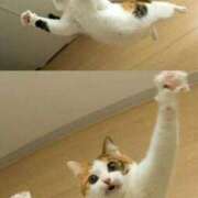 ヒメ日記 2025/08/24 12:13 投稿 体験なな ミセスコレクション