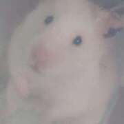 ヒメ日記 2025/08/25 08:03 投稿 体験なな ミセスコレクション