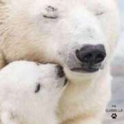 ヒメ日記 2025/08/27 08:13 投稿 体験なな ミセスコレクション