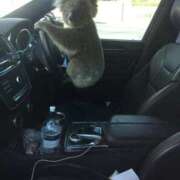 ヒメ日記 2025/08/28 08:13 投稿 体験なな ミセスコレクション