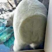 ヒメ日記 2025/08/31 08:03 投稿 体験なな ミセスコレクション