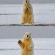 ヒメ日記 2025/09/01 08:13 投稿 体験なな ミセスコレクション