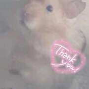 ヒメ日記 2025/09/03 01:13 投稿 体験なな ミセスコレクション