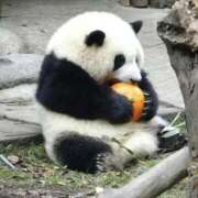 ヒメ日記 2025/09/03 21:53 投稿 体験なな ミセスコレクション