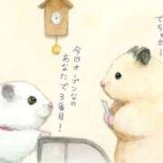 ヒメ日記 2025/09/05 12:08 投稿 体験なな ミセスコレクション