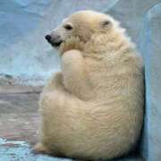 ヒメ日記 2025/09/06 01:42 投稿 体験なな ミセスコレクション