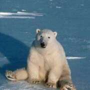 ヒメ日記 2025/09/06 08:03 投稿 体験なな ミセスコレクション