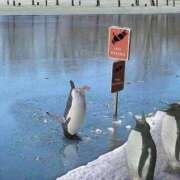 ヒメ日記 2025/09/08 08:03 投稿 体験なな ミセスコレクション