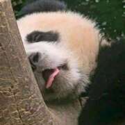 ヒメ日記 2025/09/09 23:53 投稿 体験なな ミセスコレクション