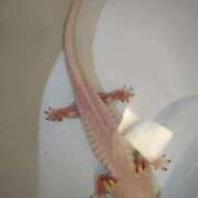 ヒメ日記 2025/09/10 01:43 投稿 体験なな ミセスコレクション