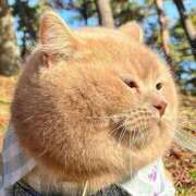 ヒメ日記 2025/09/10 02:03 投稿 体験なな ミセスコレクション