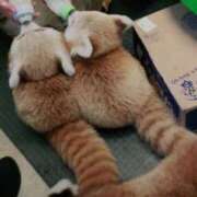 ヒメ日記 2025/09/10 12:07 投稿 体験なな ミセスコレクション