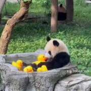 ヒメ日記 2025/09/10 23:53 投稿 体験なな ミセスコレクション