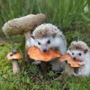 ヒメ日記 2025/09/11 00:13 投稿 体験なな ミセスコレクション