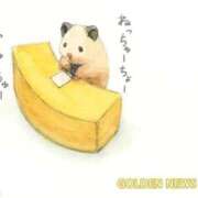 ヒメ日記 2025/09/11 08:13 投稿 体験なな ミセスコレクション