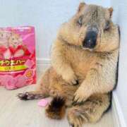 ヒメ日記 2025/09/12 12:08 投稿 体験なな ミセスコレクション